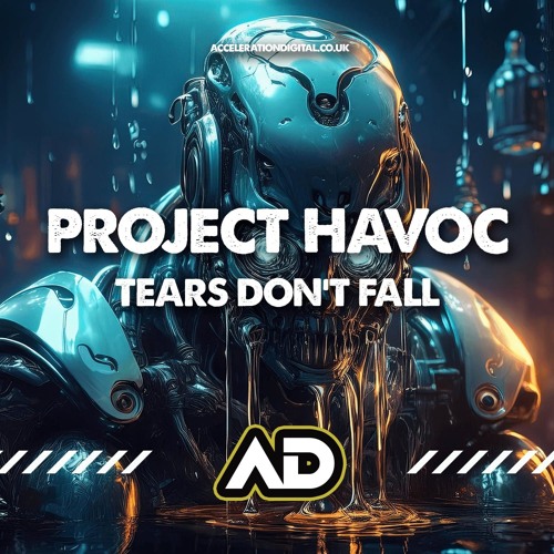 PROJECT HAVOC - TEARS DONT FALL