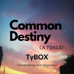 Common Destiny (AT0413)