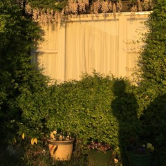 Trying to play Avril 14th at Lara's dads house