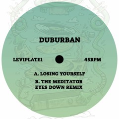 Losing Yourself (Out now LEVIPLATE1)