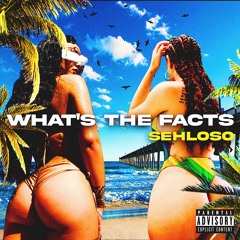 WHATS THE FACTS (PROD. ELVIS BEATZ)