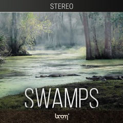 SWAMPS | Demo Stereo