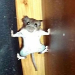 Rata Bata