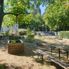 Local Matters: The community garden in Esch