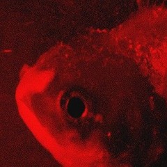 Vince Staples-Big Fish (remix)