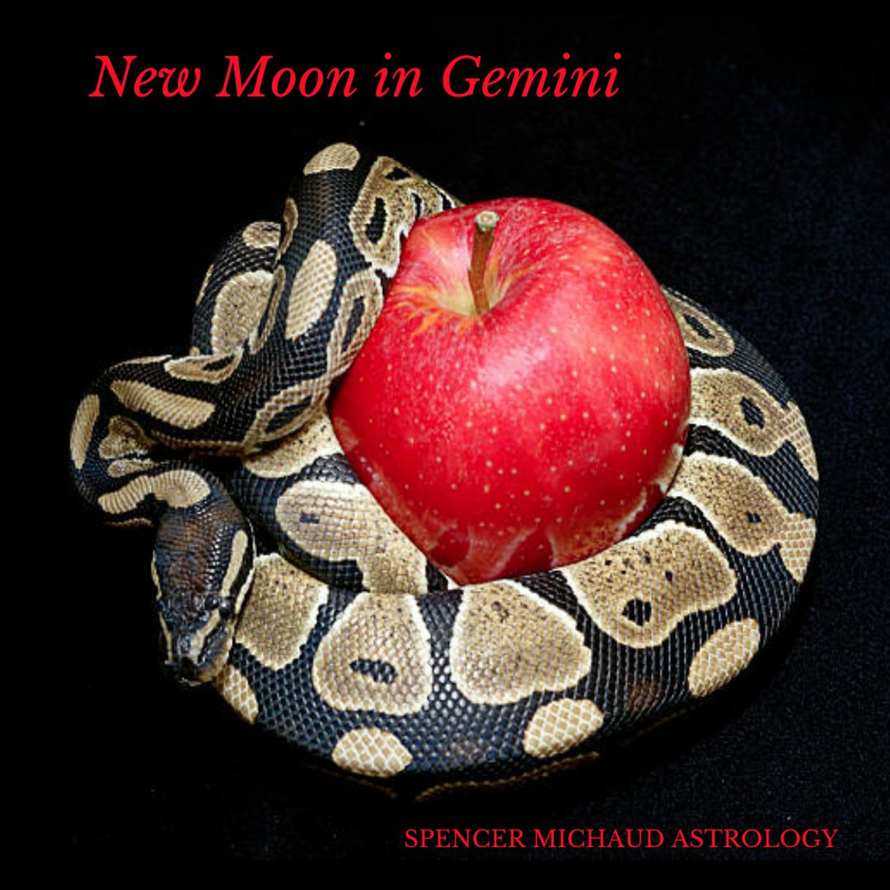 Spencer Michaud Astrology