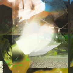 *PREMIERE* Hoverist - Gilled