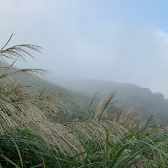 Layering waves across the mountain peaks (2025) for pipa, cello, and live electronics