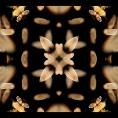 Quantum Sonics - Alex Wolfenden - 9th October 2021