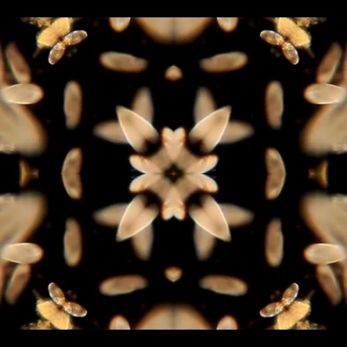 Quantum Sonics - Alex Wolfenden - 9th October 2021