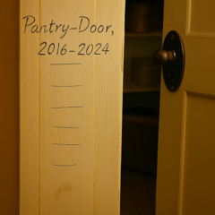 Pantry Door, 2016-2024