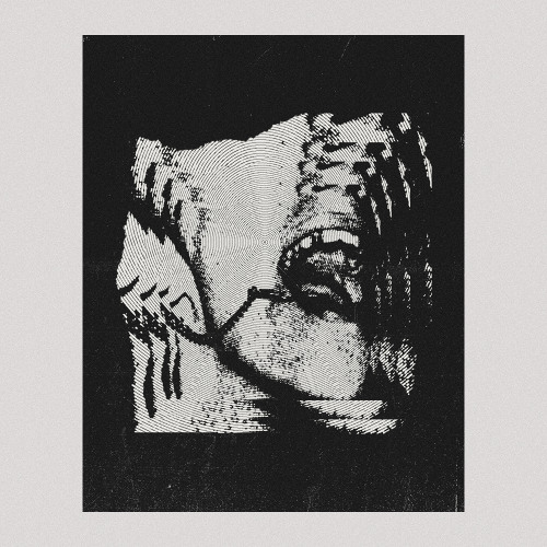 Settle Down - Agent Smith [Premiere]