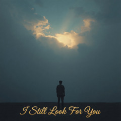 i still look for you (acoustic)