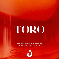 Toro | Amapiano x Afrobeat Type Beat [2023]