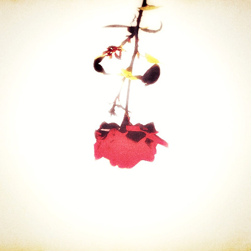 愛のこたえ (Love's Answering)