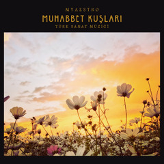MyAestro - Muhabbet Kuşları