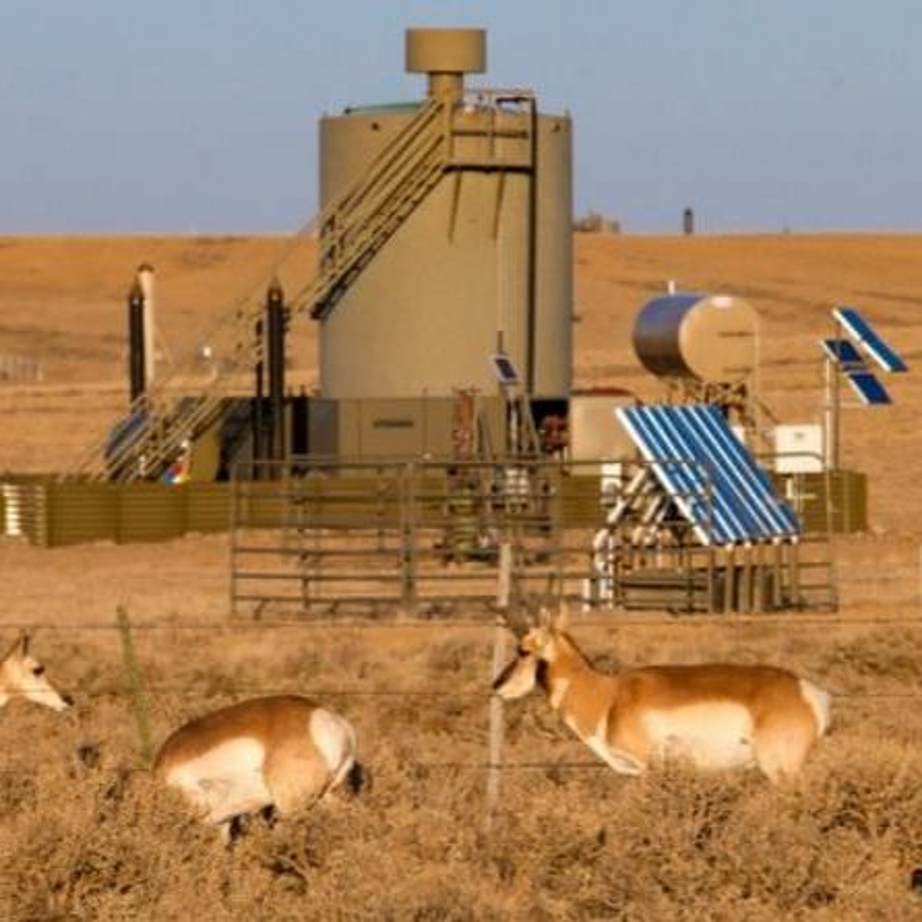 Federal Oil and Gas Leasing System in Desperate Need of Reform, Advocates Say episode artwork