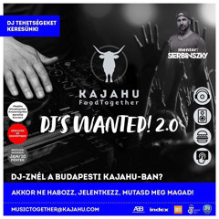 Dave Kroll - DJ's Wanted/Dj Contest @KAJAHU, Budapest