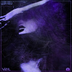 VEIL - Mirri X