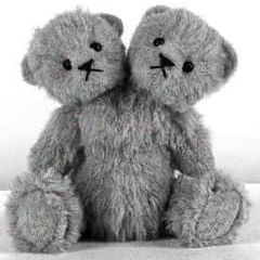 contorted n conjoined