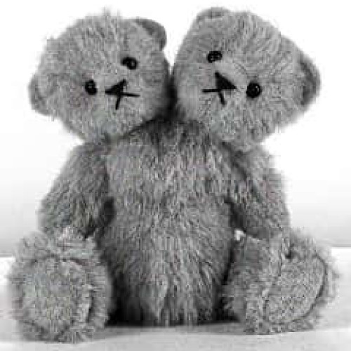 contorted n conjoined