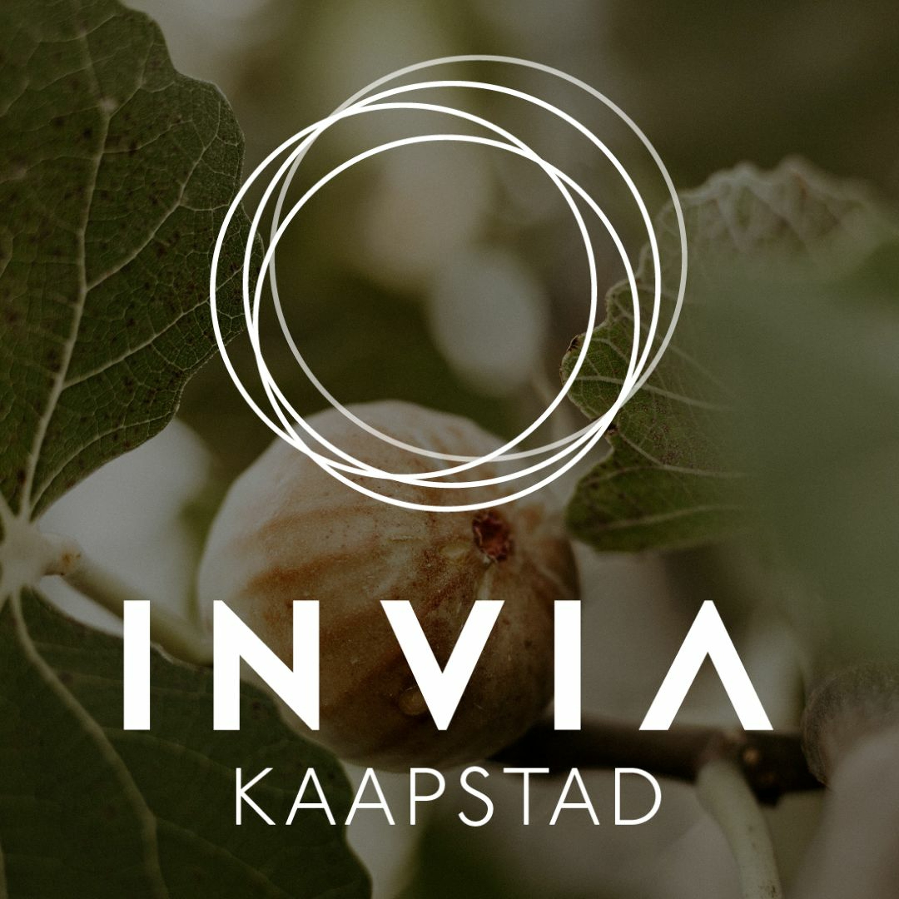 InVia Gemeente