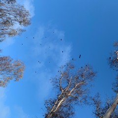 backspace w/ gemstone