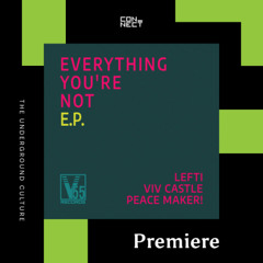 PREMIERE: Viv Castle, LEFTI - Charmer [V55records]