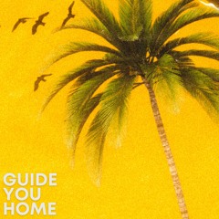 Guide You Home