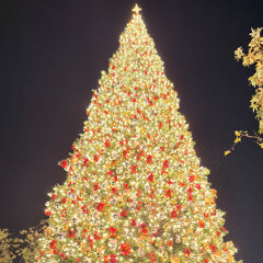 Mr. Diamonds' Christmas Special