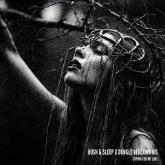 ERR006 || HUSH & SLEEP X DUNKLE  VERDAMMNIS - CRYING FOR MY SINS (FREE DOWNLOAD)