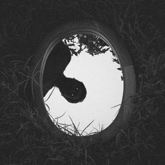 ShaheryarAkaDreamer - A Bird In Hand