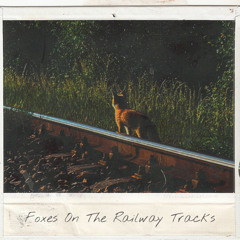 Foxes On The Railway Tracks (prod. Miercoles)