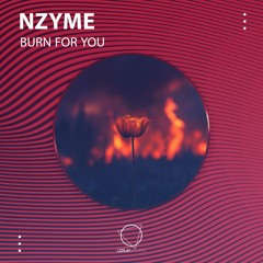 Nzyme - Burn For You (LIZPLAY RECORDS)