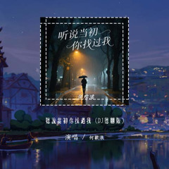 何欢浪 - 听说当初你找过我 (DJ德朋版)「现在我才听说你当初找过我 我能想象你当时有多难过」【動態歌詞/pīn yīn gē cí】#何欢浪 #听说当初你找过我 #動態歌詞