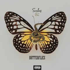 Snakes & Butterflies.mp3