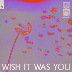 Audien - Wish It Was You