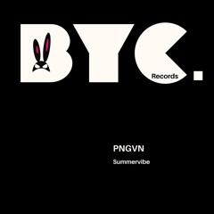PNGVN - Summervibe