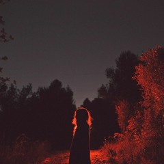 Silent Night