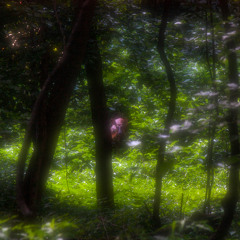 Answer (Extemporaneous)