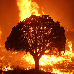 My Inferno