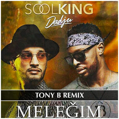 Soolking x Dadju - Meleğim (TONY B REMIX)