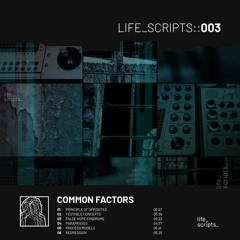 Common Factors - Testable Concepts [Life Scripts]