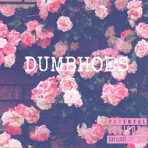 DUMBHOES Ft N8F