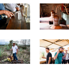 Las Bugambilias Tours – Authentic Oaxaca Cultural & Food Experiences Led by Local Experts