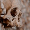 Did Christ Die For Neanderthals? | Fr. Simon Gaine, OP