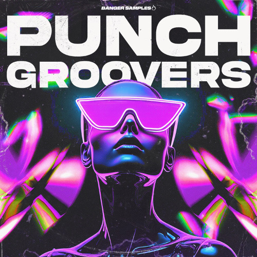 Punch Groovers [Sample pack]