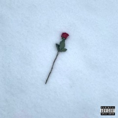 REAL ROMANCE (Explicit)