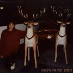 Imagine We Had Antlers - Before I can Fly