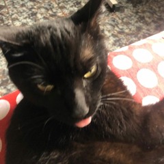 Ljaypunkrock - Não Preciso De Amor! (speedup)